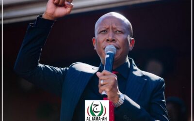 Malema should be allowed to appeal sentence