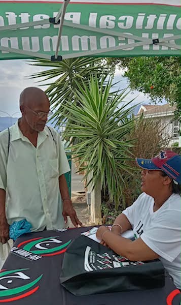 VOTE-Stulweni-Wellington 3